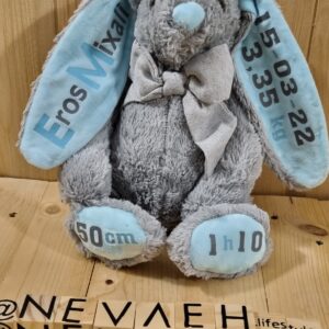 Bunny or Teddy - 25cm personalized (depend on availability)